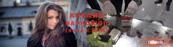 соль курить ск Ладушкин
