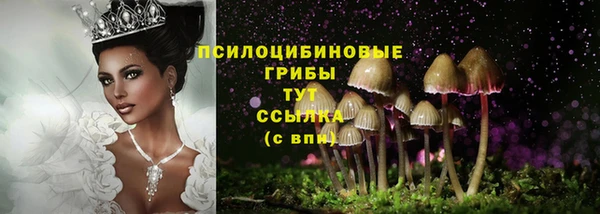 MDMA Premium VHQ Лагань