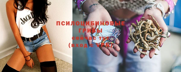 соль курить ск Ладушкин