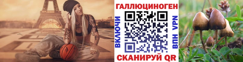 Псилоцибиновые грибы прущие грибы  Купить закладки  Вихоревка 